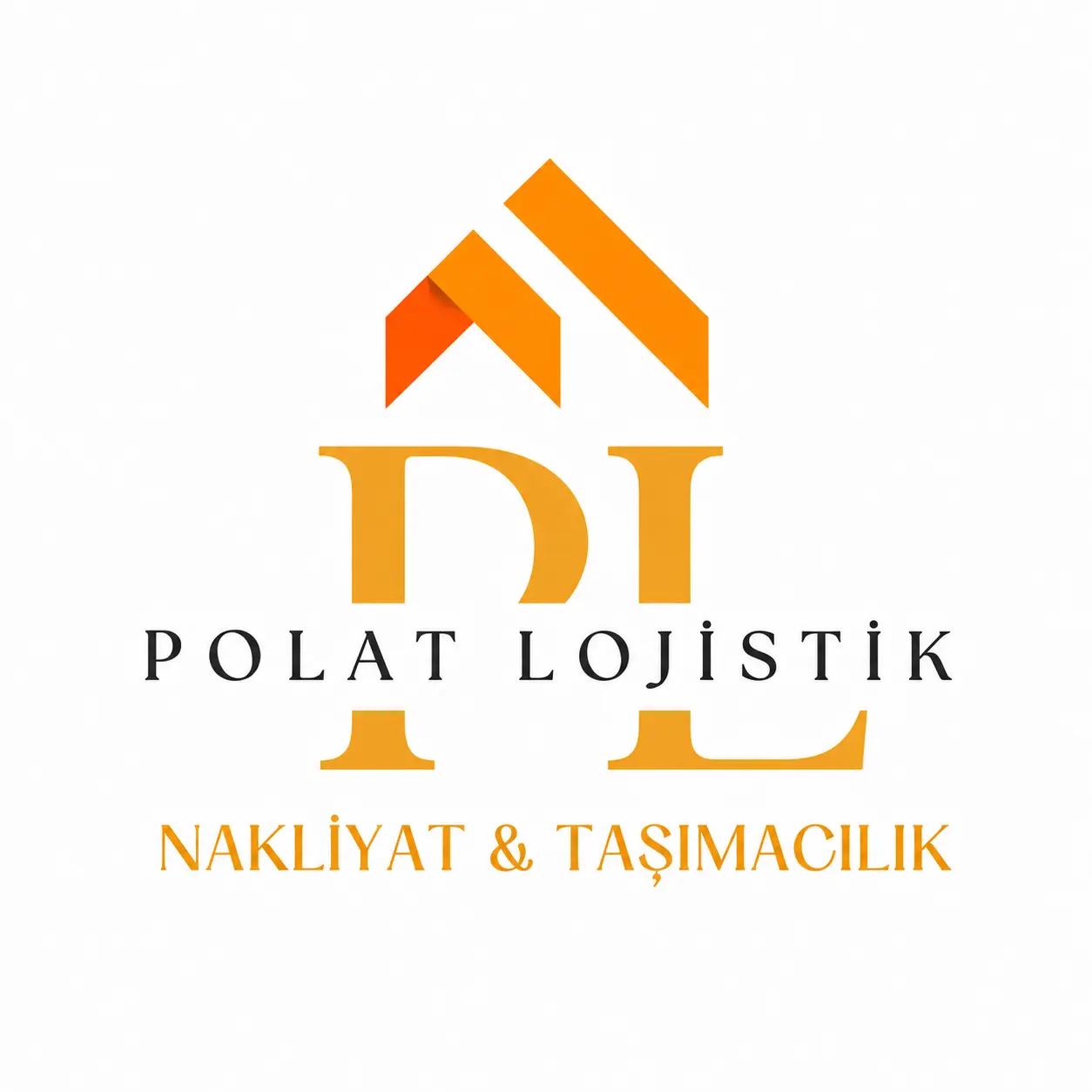 Profesyonel nakliye aracı